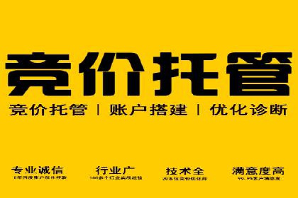 百度竞价运营案例分析：实战经验总结